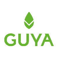 drinkGUYA summer drink energy coffee time Sticker