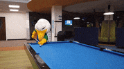 Pool Gulls GIF by Endicott College