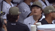 White Sox Baseball GIF by MLB