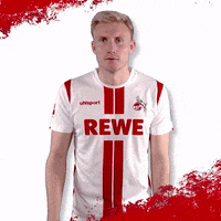 1 Fc Cologne Football GIF by 1. FC Köln