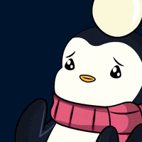 Oh My God Wow GIF by Pudgy Penguins