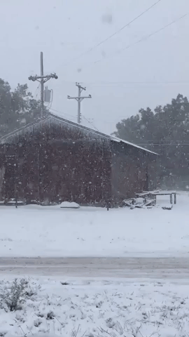 'Whiteout': Four Inches of Snow Falls in Texas Panhandle