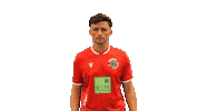 Hannover 96 Fifa Sticker by H96eSports