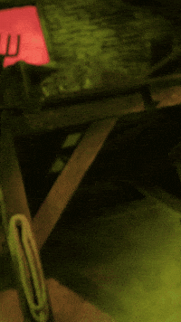 Shaun The Sheep GIF by STUDIOCANAL