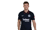 Eintracht Frankfurt Hello Sticker by Bundesliga