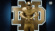 Glitter Gold GIF by Notre Dame Fighting Irish