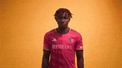 Vamos St Louis GIF by St. Louis CITY SC