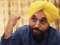 Punjabi Memes GIF