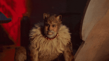 Movie gif. Jason DeRulo as the Rum Tum Tugger in Cats grimaces and his ears flex back.