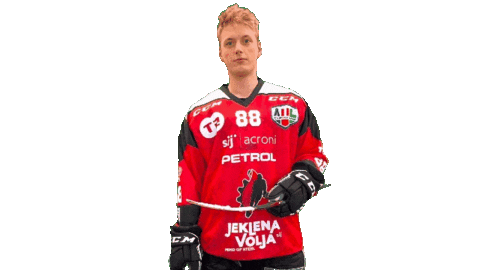 Sport Goal Sticker by HDD SIJ Acroni Jesenice