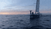 Boat Sailing GIF by Clipper Round the World Yacht Race