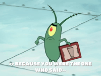 season 6 pet or pets GIF by SpongeBob SquarePants