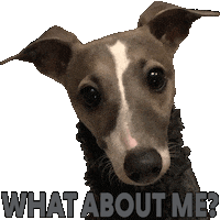 Sad What About Me Sticker by normanandpiper