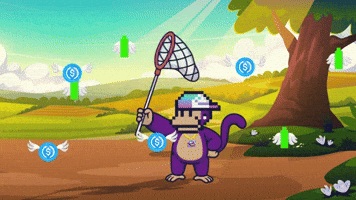 SolBigBrain - Net Catching