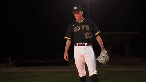 College Baseball GIF by Pearl River Athletics