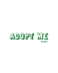 Adopt Animal Rescue Sticker by Humane Society of North Texas