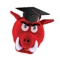 Arkansas Razorbacks Grad Sticker by Arkansas Alumni Association