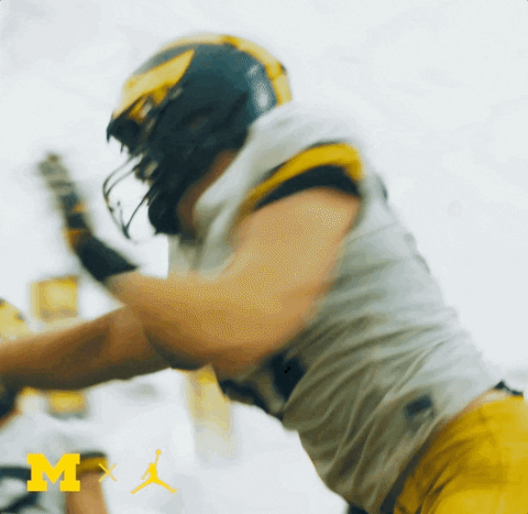 Go Blue College Football GIF by Michigan Athletics