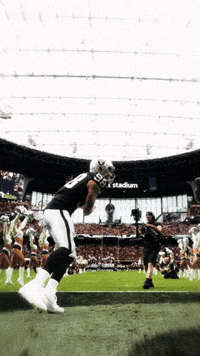 Nfl Raiders GIF