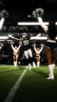 Las Vegas Raiders Nfl GIF