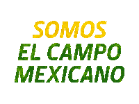 Campomexicano Sticker by John Deere México
