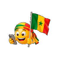Emoji Fans Sticker by WhatsApp SIM