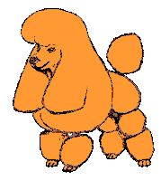 oranje Sticker