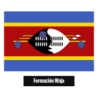 Flag Pixel Art Sticker by Formación Ninja