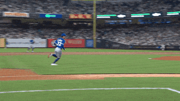 Winning Blue Jays GIF by Toronto Blue Jays