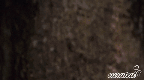 Show Stance GIF by Curated Stance!