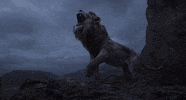 disneystudios the lion king simba GIF