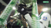 Celtic Fc Yas GIF by Celtic Football Club