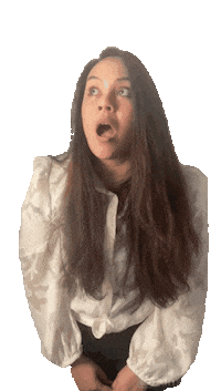 larida wow lara wauw villarida Sticker