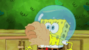 season 9 episode 23 GIF by SpongeBob SquarePants
