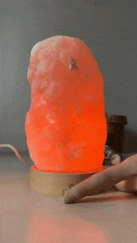GIF by Flamingueo