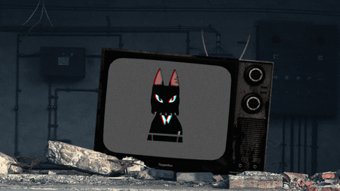 Dog Television GIF