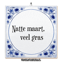Nl Leven Sticker by Tegelspreuken.nl