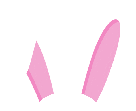 Bunny Coelho Sticker by Bel Diniz