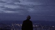 fhin GIF by NOWNESS