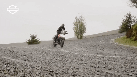 Sport Bike GIF by Harley-Davidson