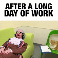 After Work Pto GIF