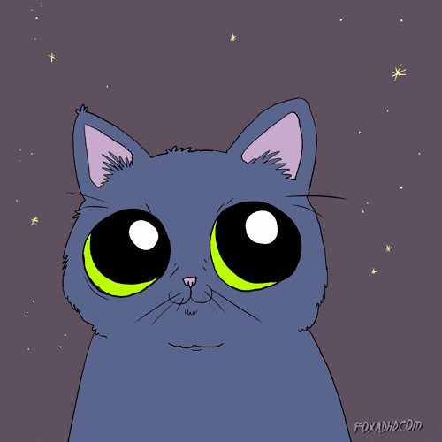 Animation Domination Lol GIF by gifnews