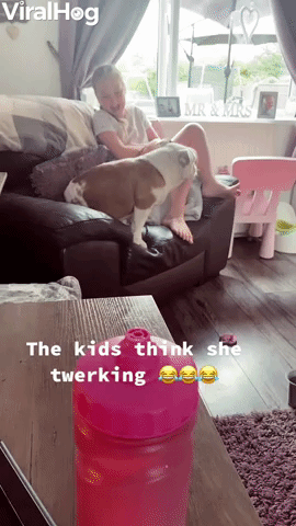 Kids Laugh at Doggo's Twerk