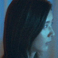 Tiger Mirror GIF by ViuTV