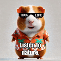 Peace Transformation GIF by Guinea Gambino