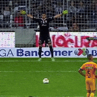 Liga Mx Monterrey GIF