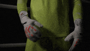 Germany Football GIF by Bundesliga