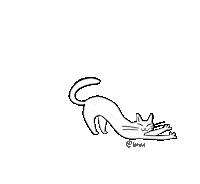 Cat Morning Sticker by Vucka