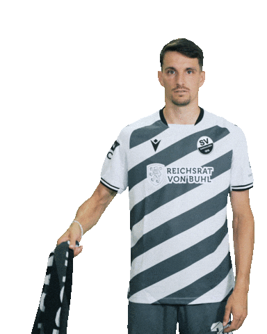 3Liga Sticker by SV Sandhausen