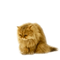 mmb monetakocour Sticker by MonetaMoneyBank